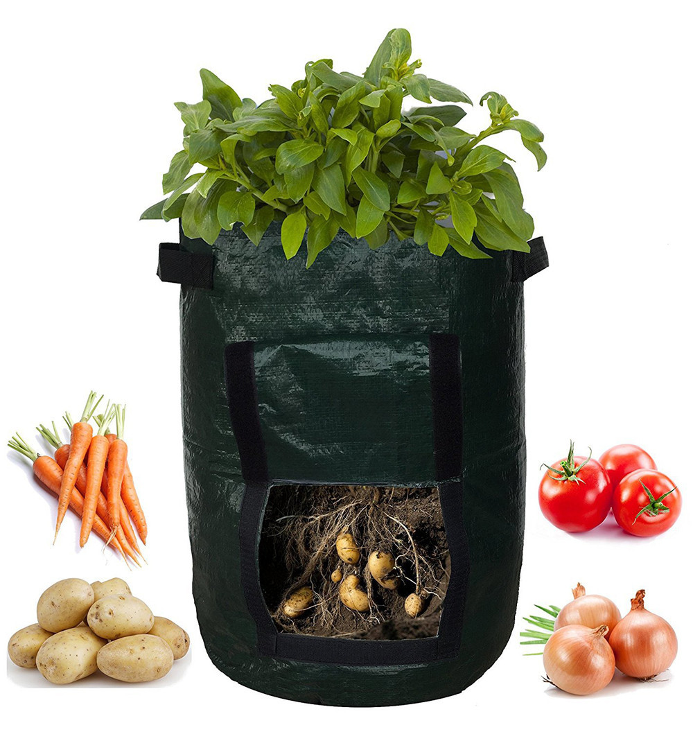 Potato Planting Grow Bag – Reusable With Window For Easy Harvesting
