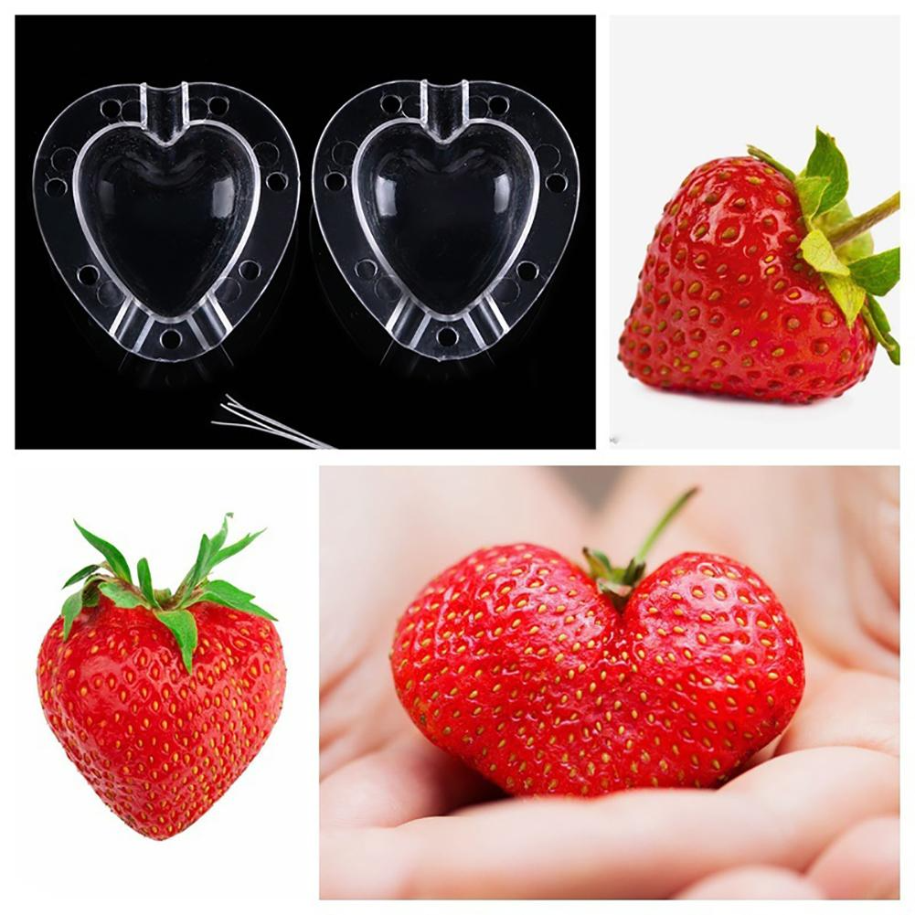 Creative Heart-Shaped Mold – Vegetable and Fruit Shaping Bowl for Unique Presentations