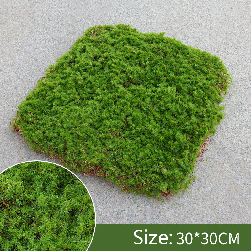 Moss Decoration Piece - Natural Moss Flake for Landscaping and Decorative Accents