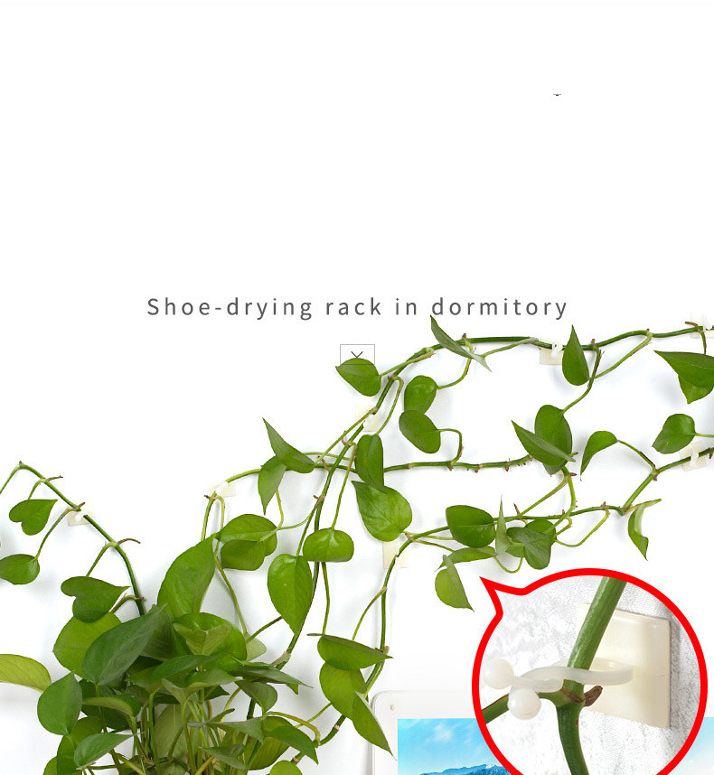 Wall Mount Clips for Climbing Plants – Durable Holders for Vertical Garden Decoration