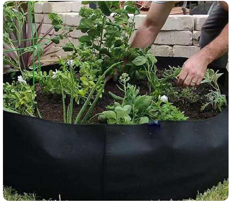 Circular Plant Growth Bag - Durable Garden Container for Healthy Plant Development