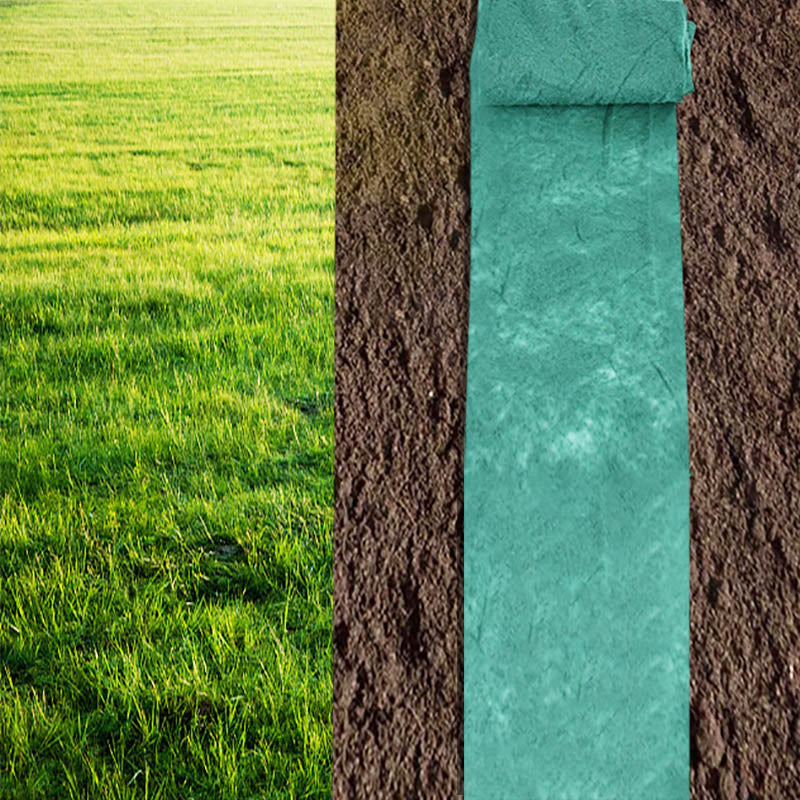 Eco-Friendly Lawn Seed Mat for Effortless Garden Grass Growth