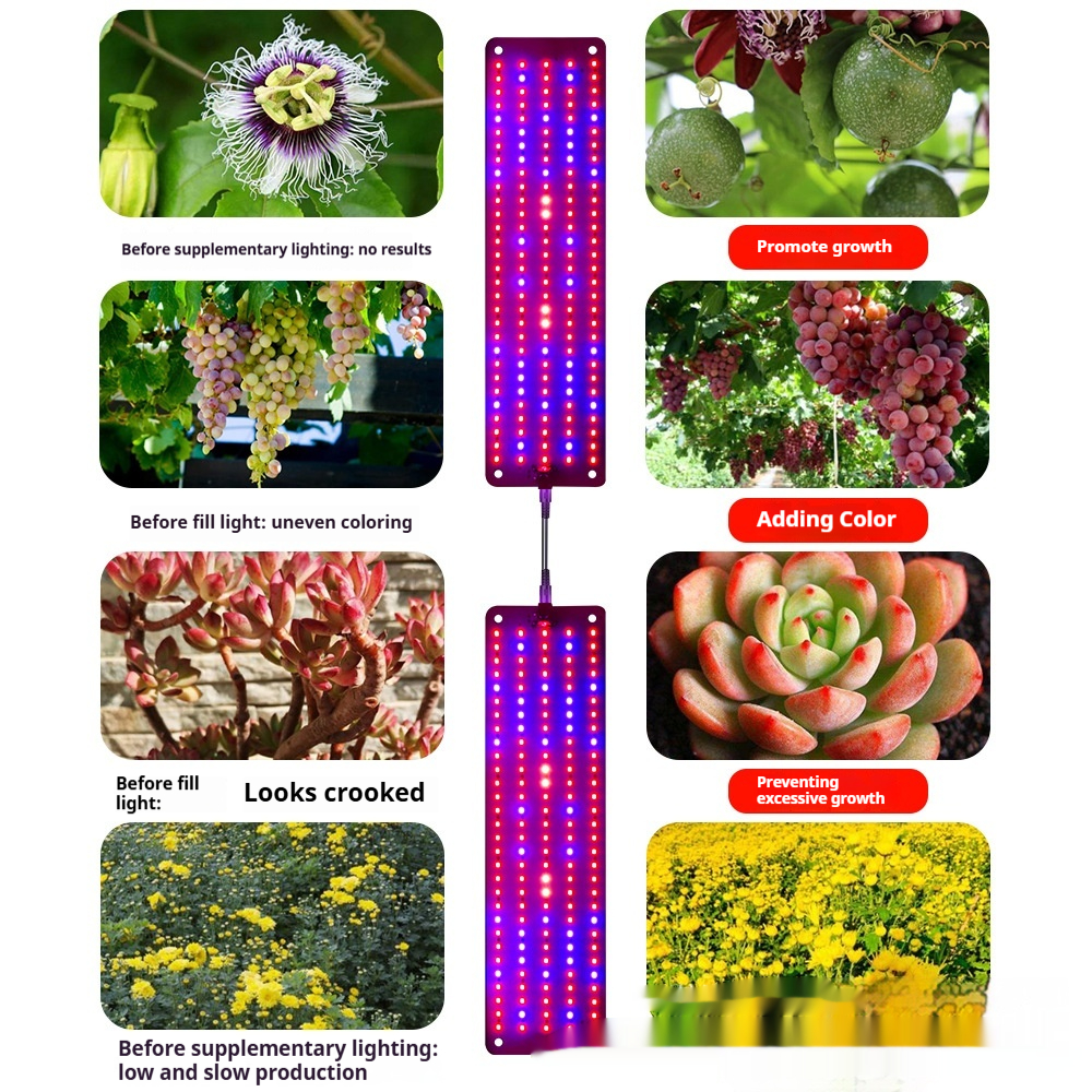 LED Plant Growth Light Panel – Adjustable Quantum Lighting for Enhanced Growth and Vibrant Colours