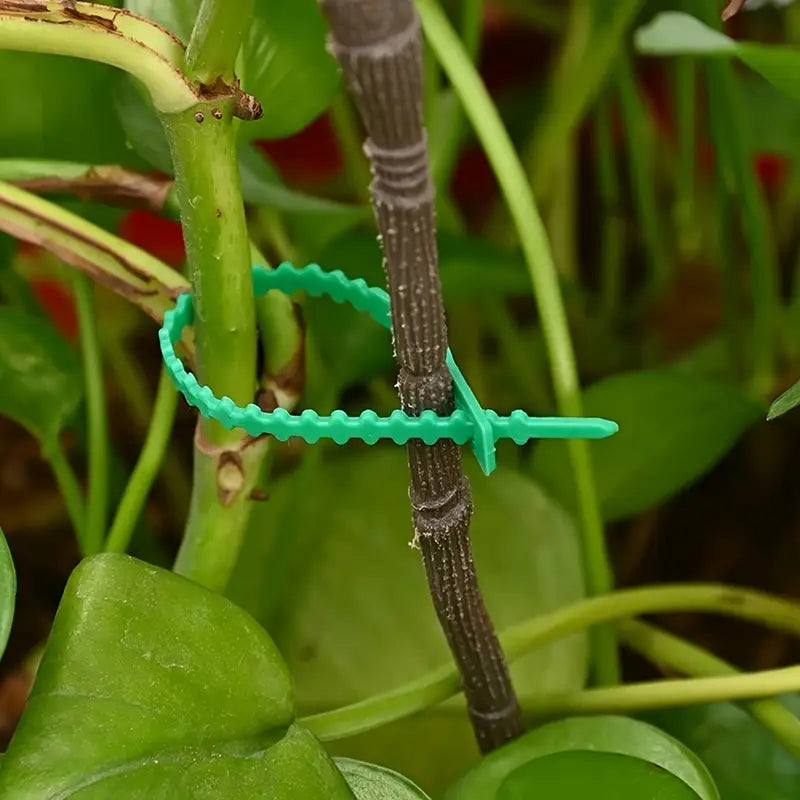 Plant Support Cable Tie Set - Secure and Stable Plant Fastening Solution