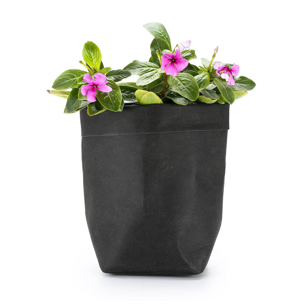 Eco-Chic Paper Plant Pots – Decorative Planters for Contemporary Interiors