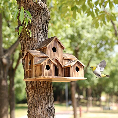 6-Room Wooden Birdhouse with Handcrafted Design