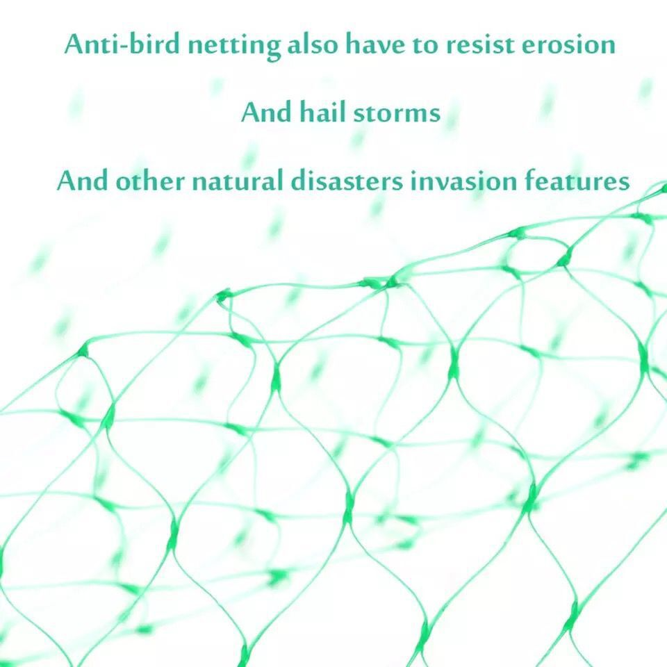 Garden Plant Protection Netting – Green Mesh to Shield Against Pests and Animals