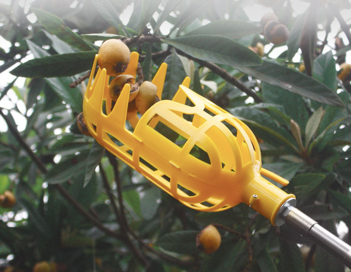 Fruit Picking Tool – Efficient Harvesting Gripper for Trees and Shrubs