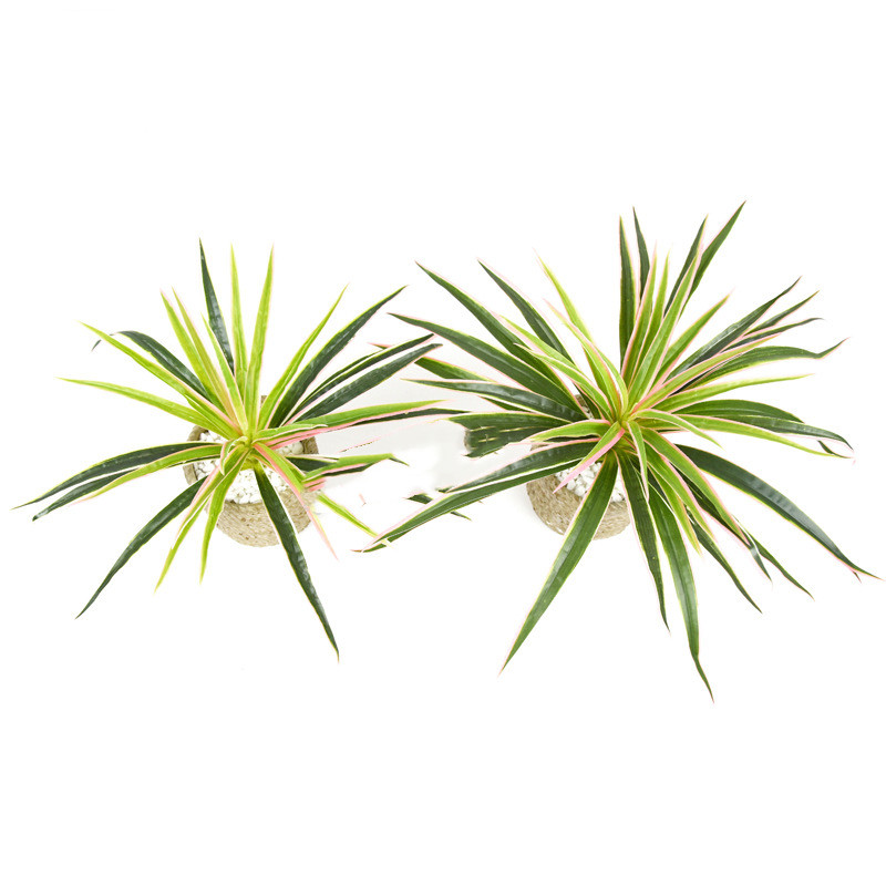 Lifelike Artificial Grass Plant in Pot – Decorative Greenery for Home and Office Décor