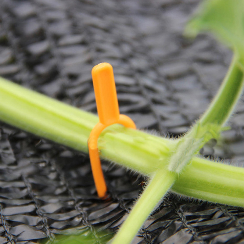 Plastic Plant Support Clips for Enhanced Stability in Gardens
