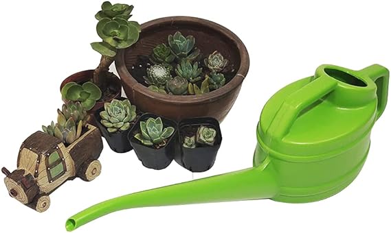 Long-Spout Watering Can – Effortless and Precise Watering Solution for Plants