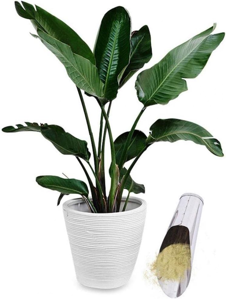 Durable Stainless Steel Planting Shovel – Strong Gardening Tool for Soil and Pots