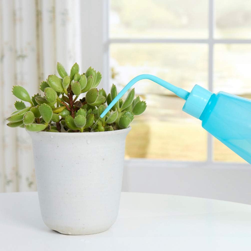 Mini Gardening Tool Kit for Succulents with Watering Bottle and Accessories