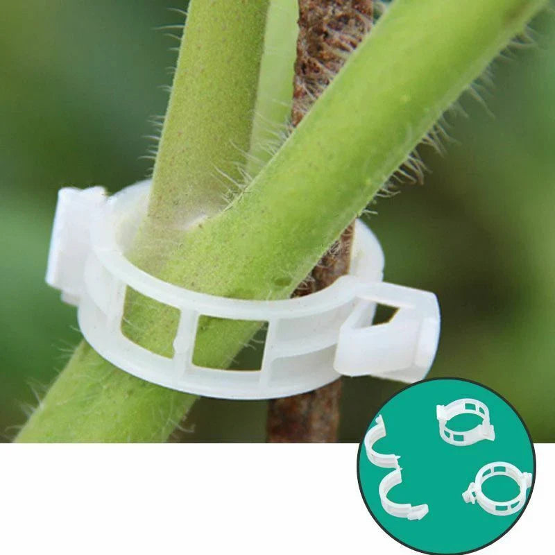 Flexible Plant Stem Support Clips – Adjustable Holders for Climbing Plants