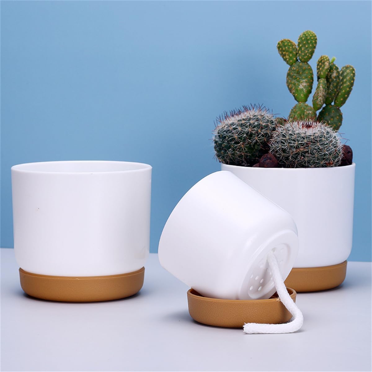 Self-Watering Planter for Orchids and Plants - Plastic Flower Pot for Easy Care