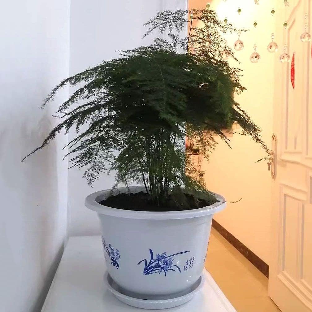 Bamboo-Patterned Plant Pot – Elegant Plastic Flower Container for Garden & Balcony