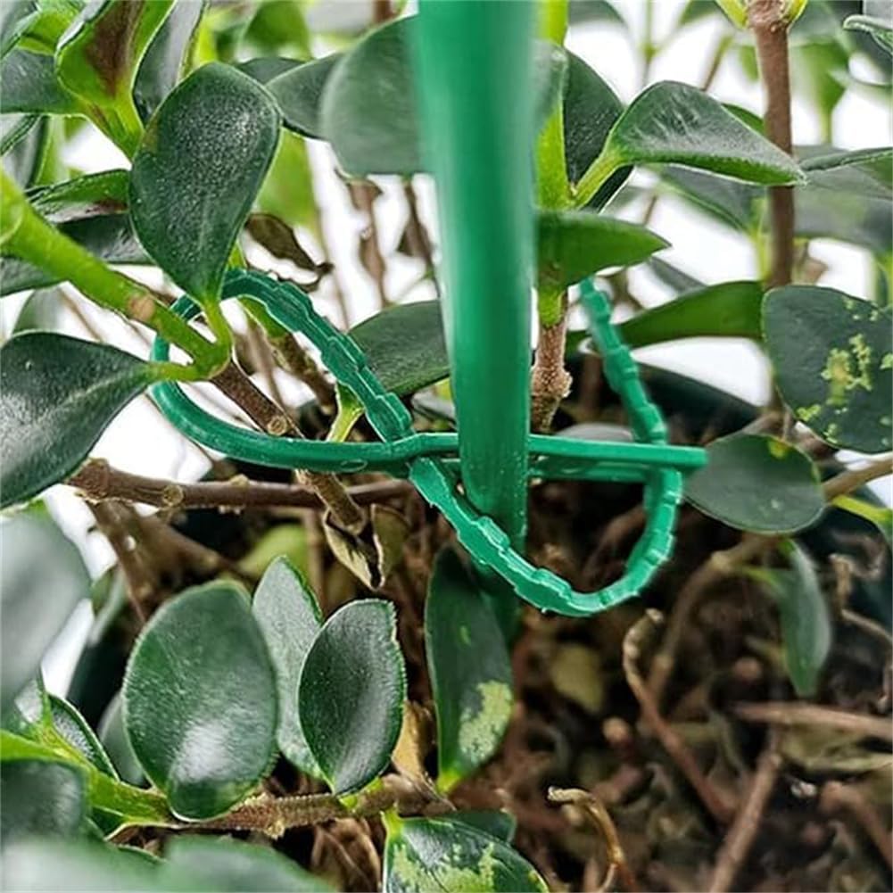 Plant Support Cable Tie Set - Secure and Stable Plant Fastening Solution