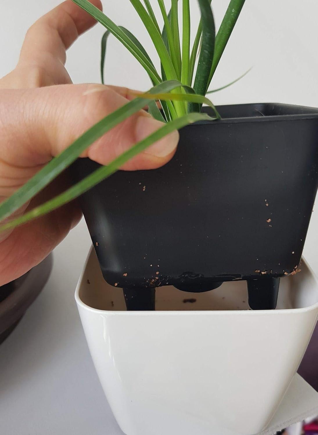 Self-Watering Flower Pot with Built-In Irrigation System – Indoor and Outdoor Planter for Easy Plant Care