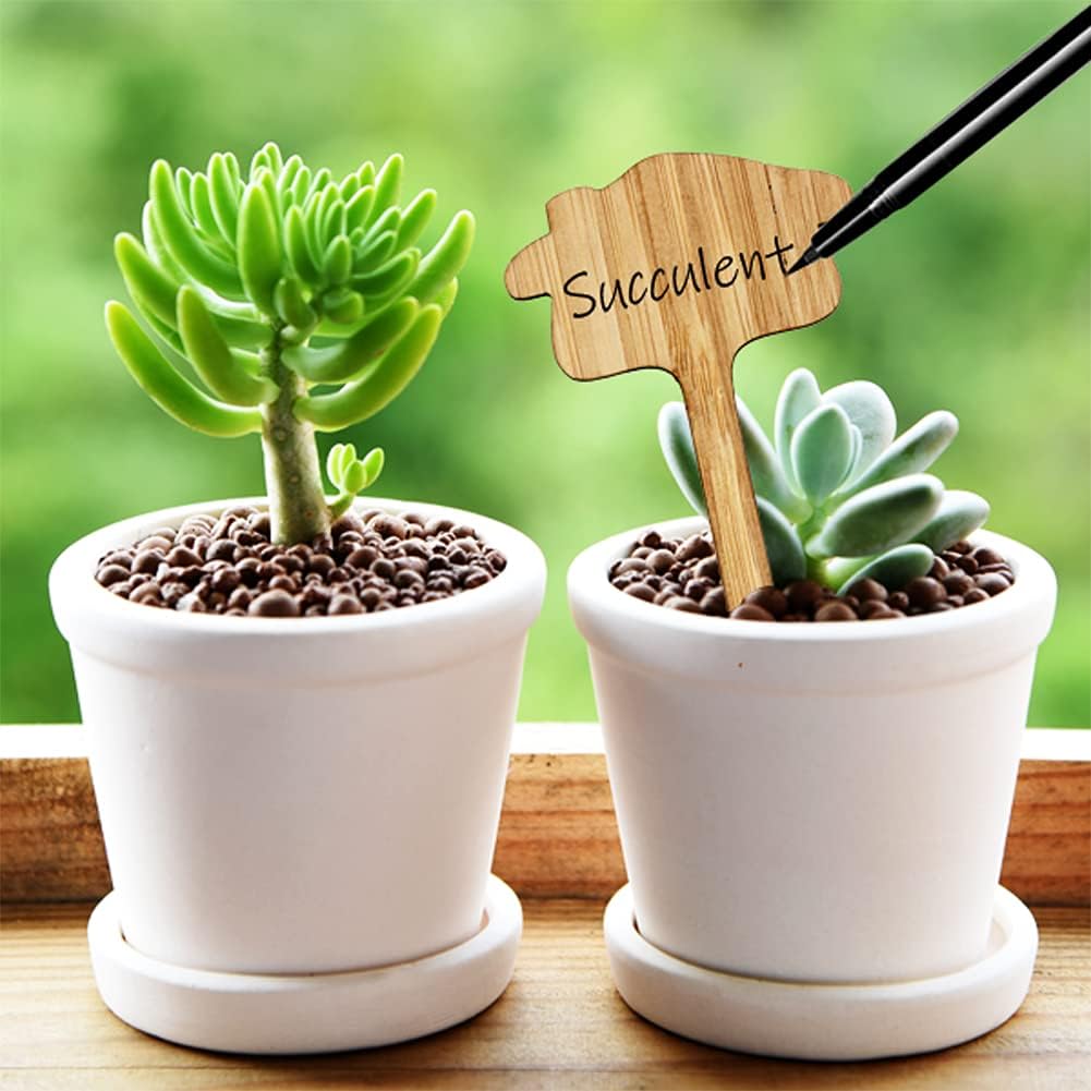 Reusable Wooden Plant Markers – Writable Labels for Garden & Balcony Herbs