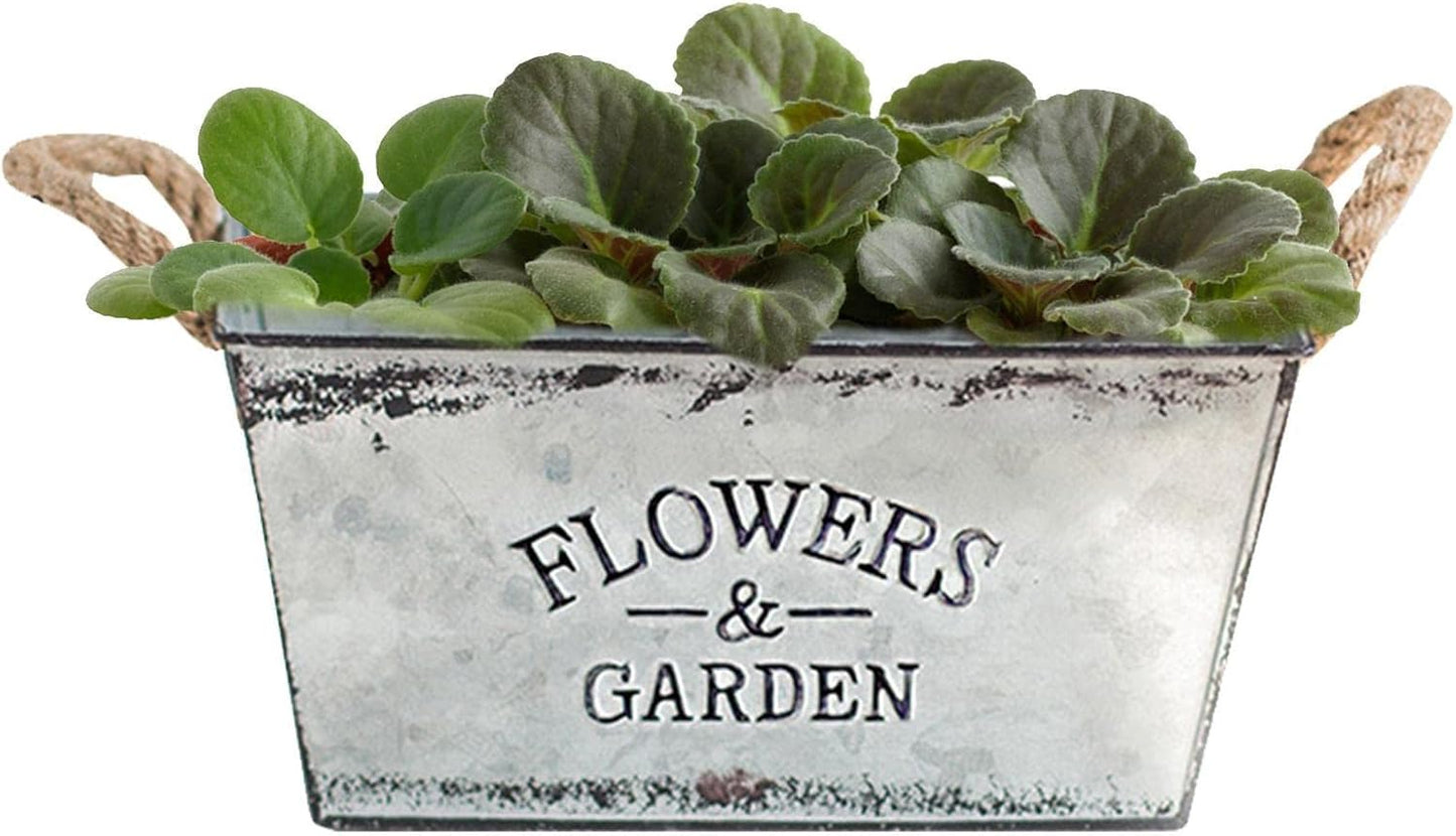 Metal Garden Planter with Hemp Rope Handles – Decorative Flower Pot for Outdoor Use