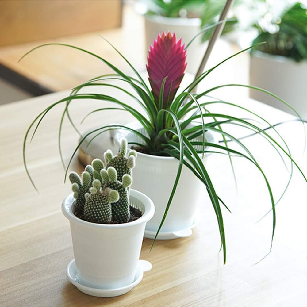 Airflow Root Control Pot – Perfect for Promoting Healthy Plant Growth and Optimal Ventilation