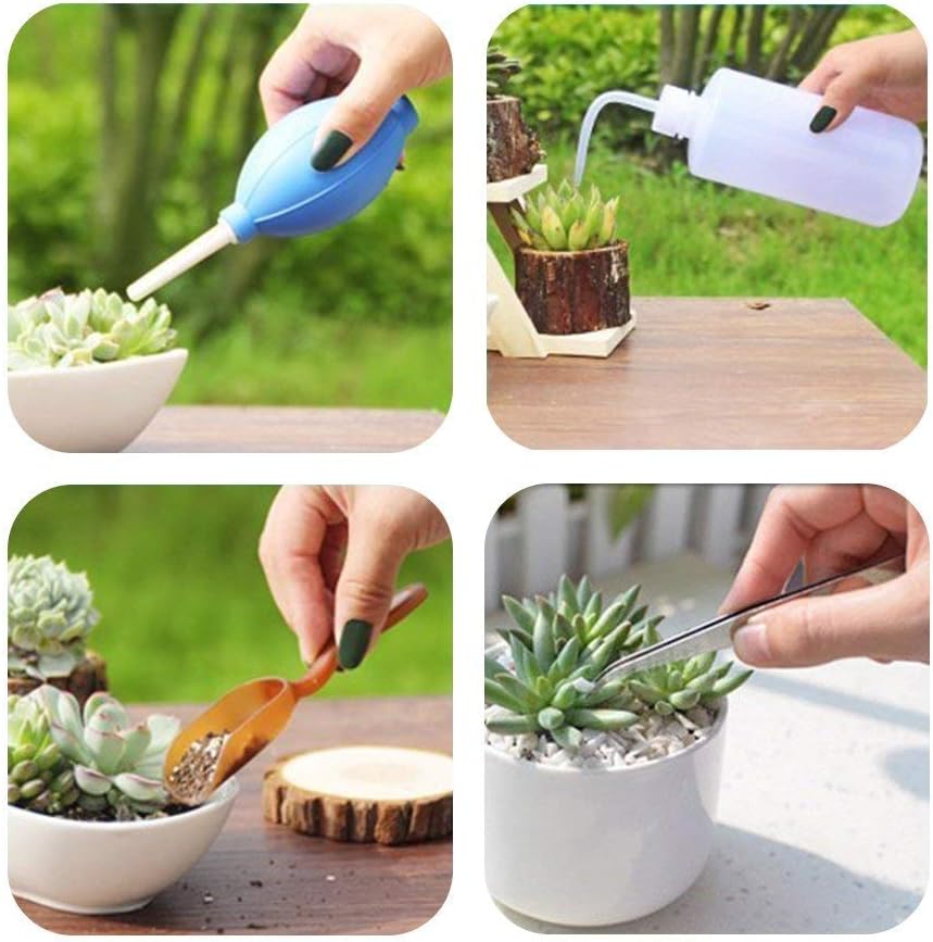 Mini Gardening Tool Kit for Succulents with Watering Bottle and Accessories