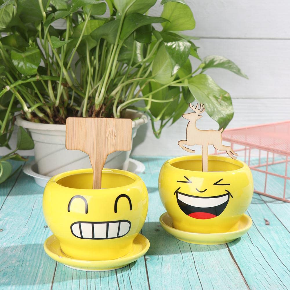 Reusable Wooden Plant Markers – Writable Labels for Garden & Balcony Herbs