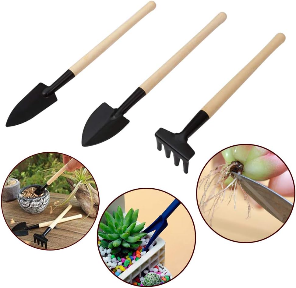 Mini Gardening Tool Kit for Succulents with Watering Bottle and Accessories