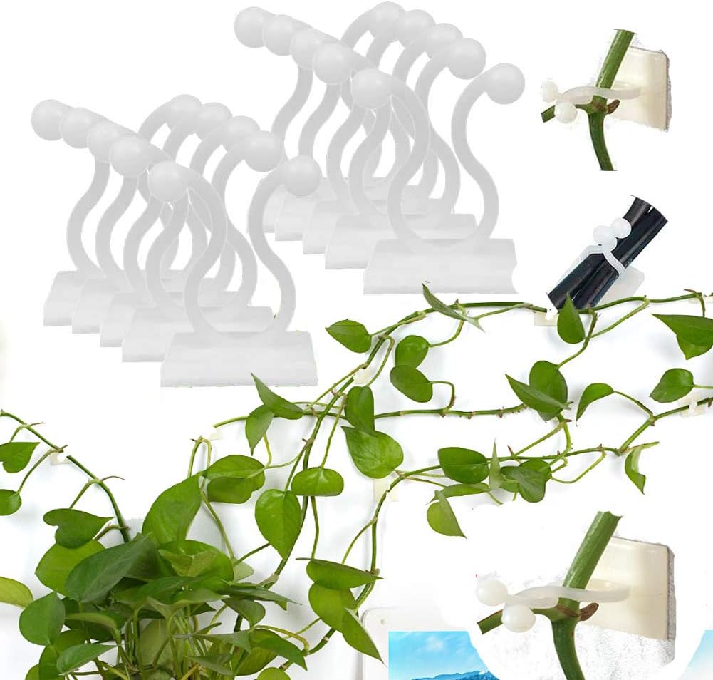 Wall Mount Clips for Climbing Plants – Durable Holders for Vertical Garden Decoration