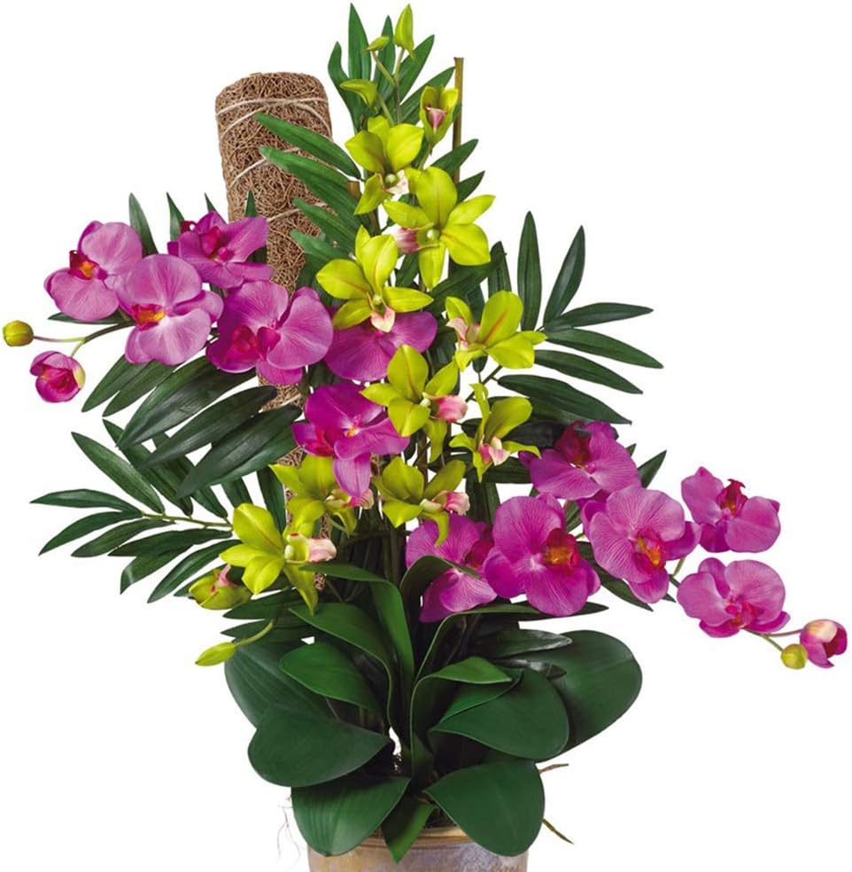 Natural Coconut Climbing Stick – Support for Houseplants and Garden Vines