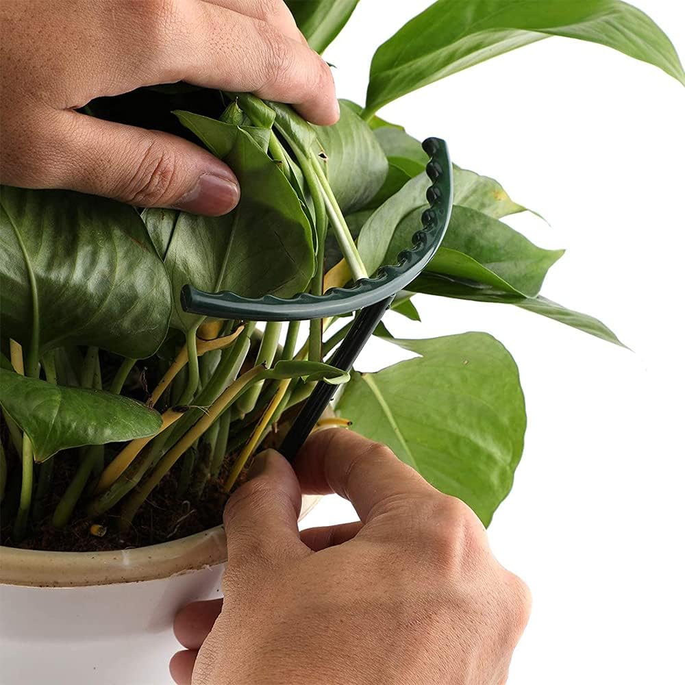 Plant Climbing Support Cage - Sturdy Structure for Enhanced Growth and Stability