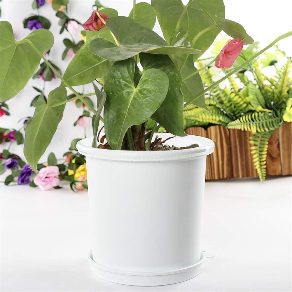 Airflow Root Control Pot – Perfect for Promoting Healthy Plant Growth and Optimal Ventilation