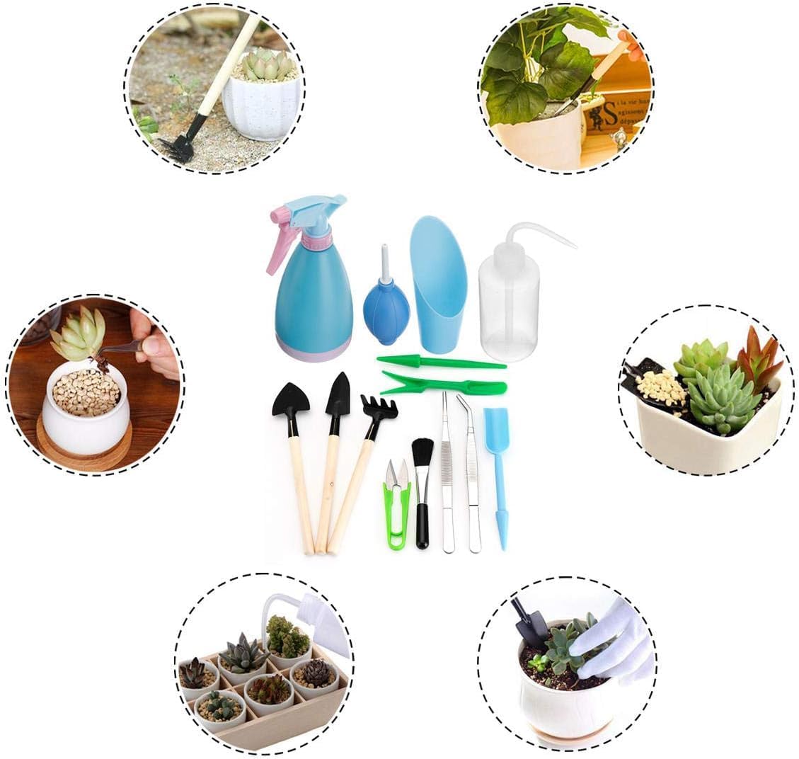 Mini Gardening Tool Kit for Succulents with Watering Bottle and Accessories