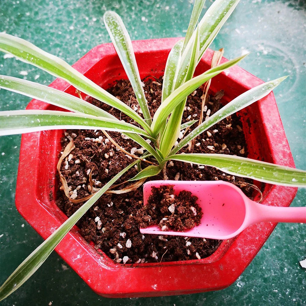 Succulent Planting Tool Kit - Complete Set for Care and Gardening