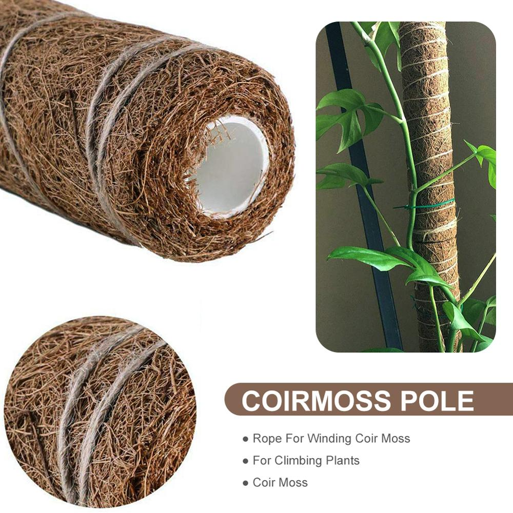 Natural Coconut Climbing Stick – Support for Houseplants and Garden Vines