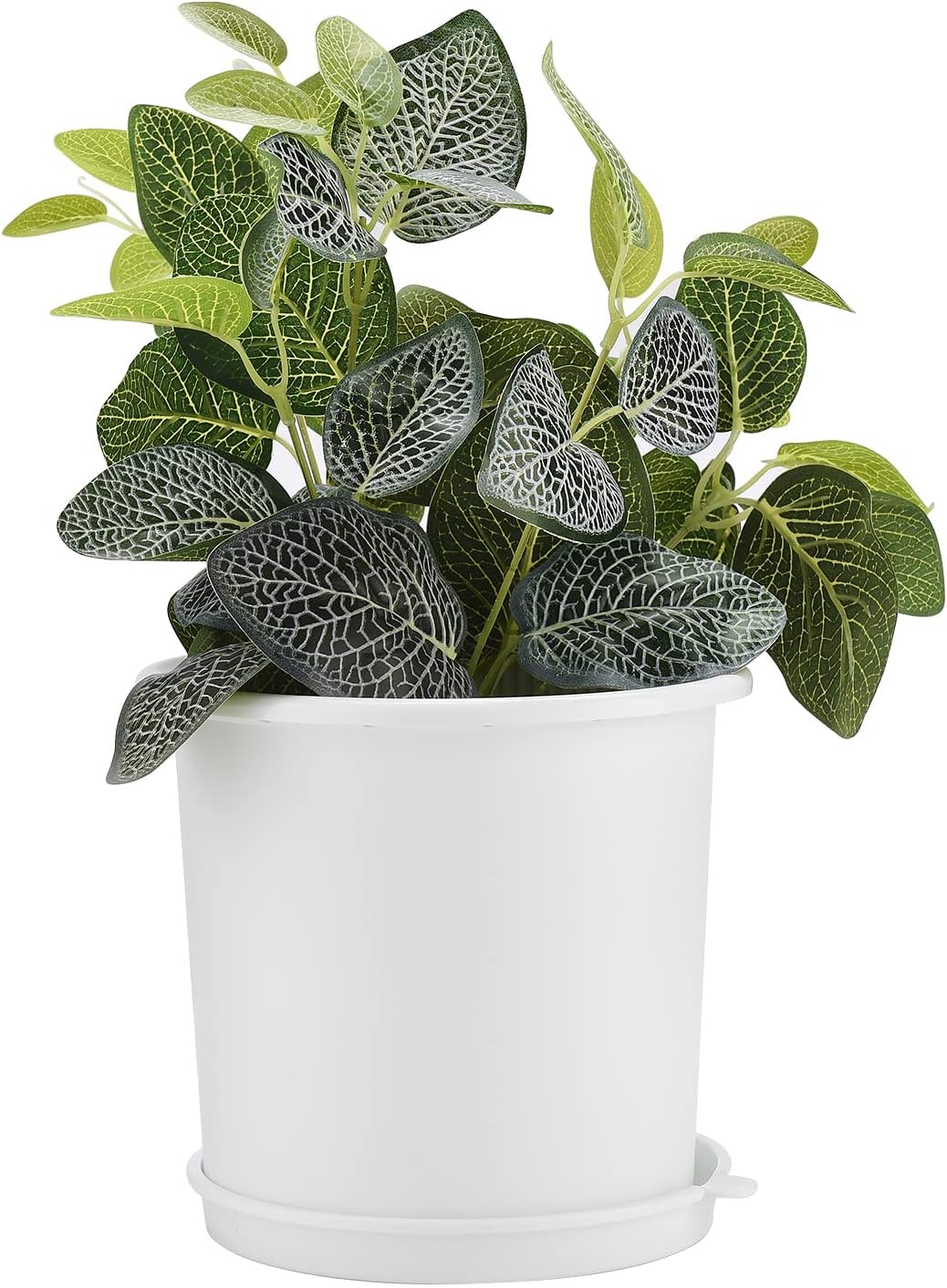 Airflow Root Control Pot – Perfect for Promoting Healthy Plant Growth and Optimal Ventilation