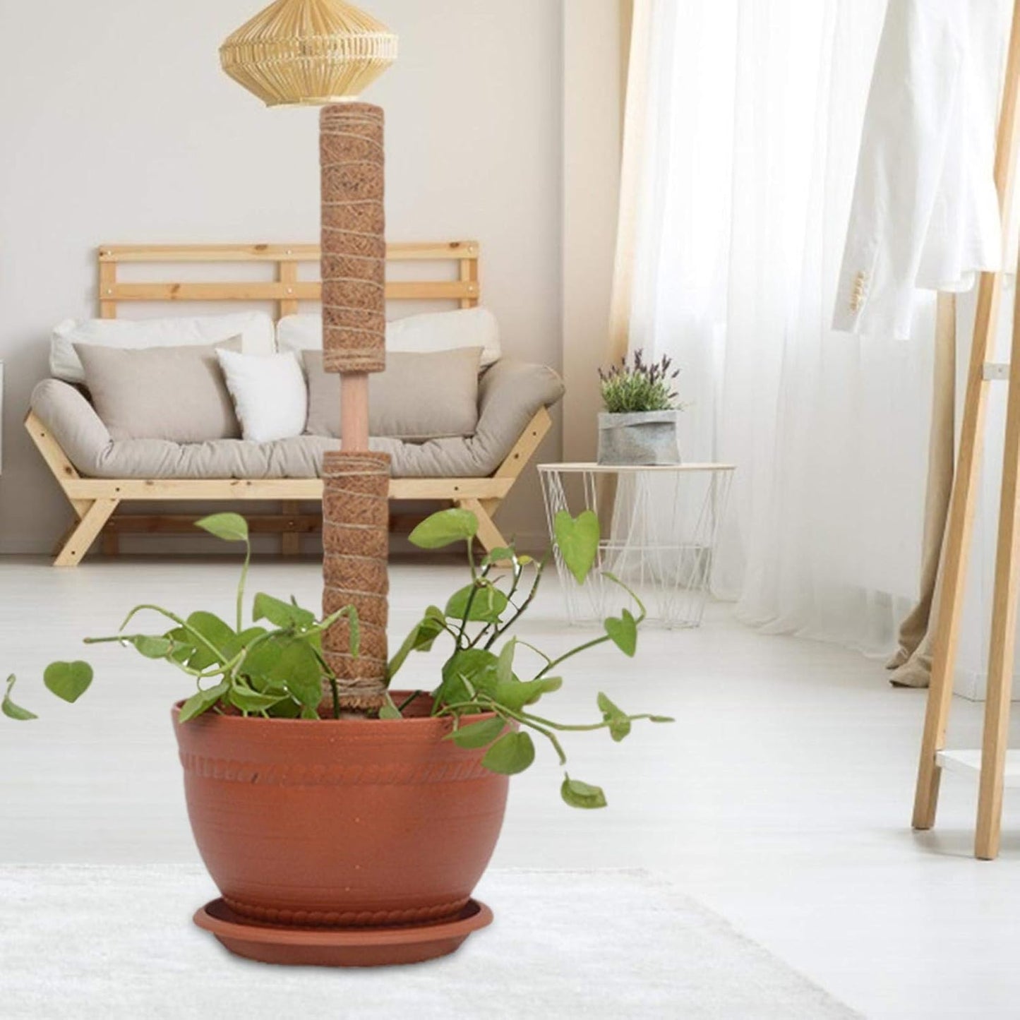 Natural Coconut Climbing Stick – Support for Houseplants and Garden Vines