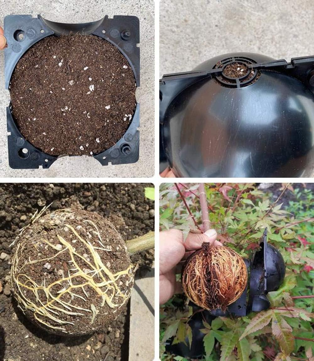 Root Protection Caps for Plants – Safety Covers for Transplanting and Healthy Growth