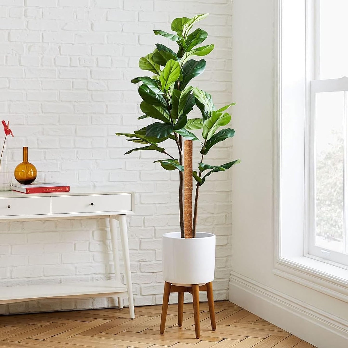 Natural Coconut Climbing Stick – Support for Houseplants and Garden Vines