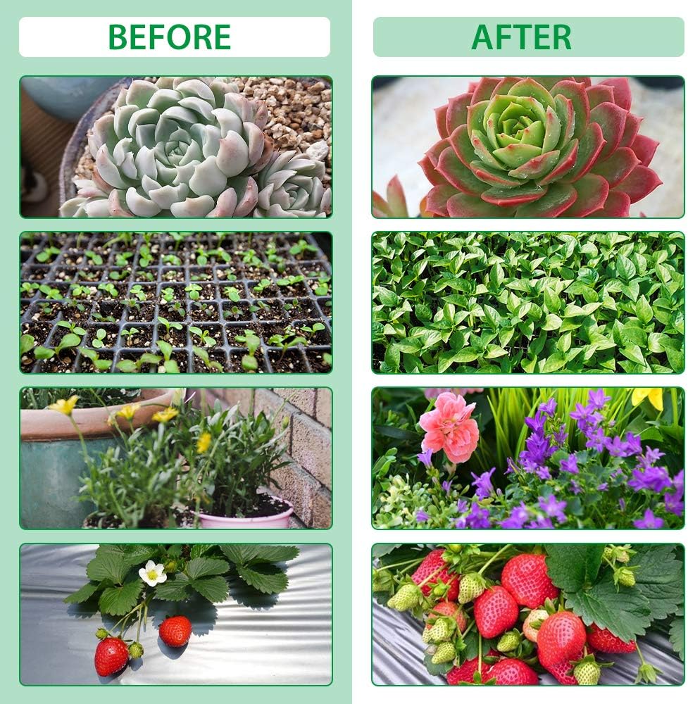 Indoor Plant Grow Light with 4 Adjustable Arms - Dimmable LED for Optimal Plant Growth