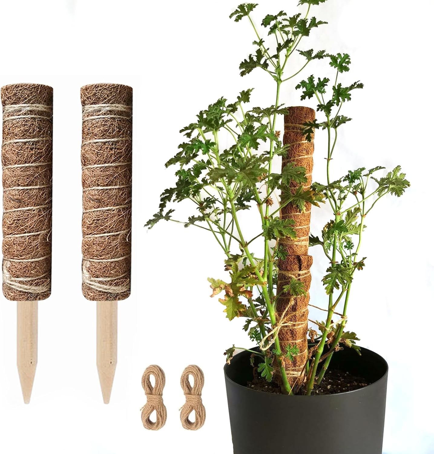 Natural Coconut Climbing Stick – Support for Houseplants and Garden Vines