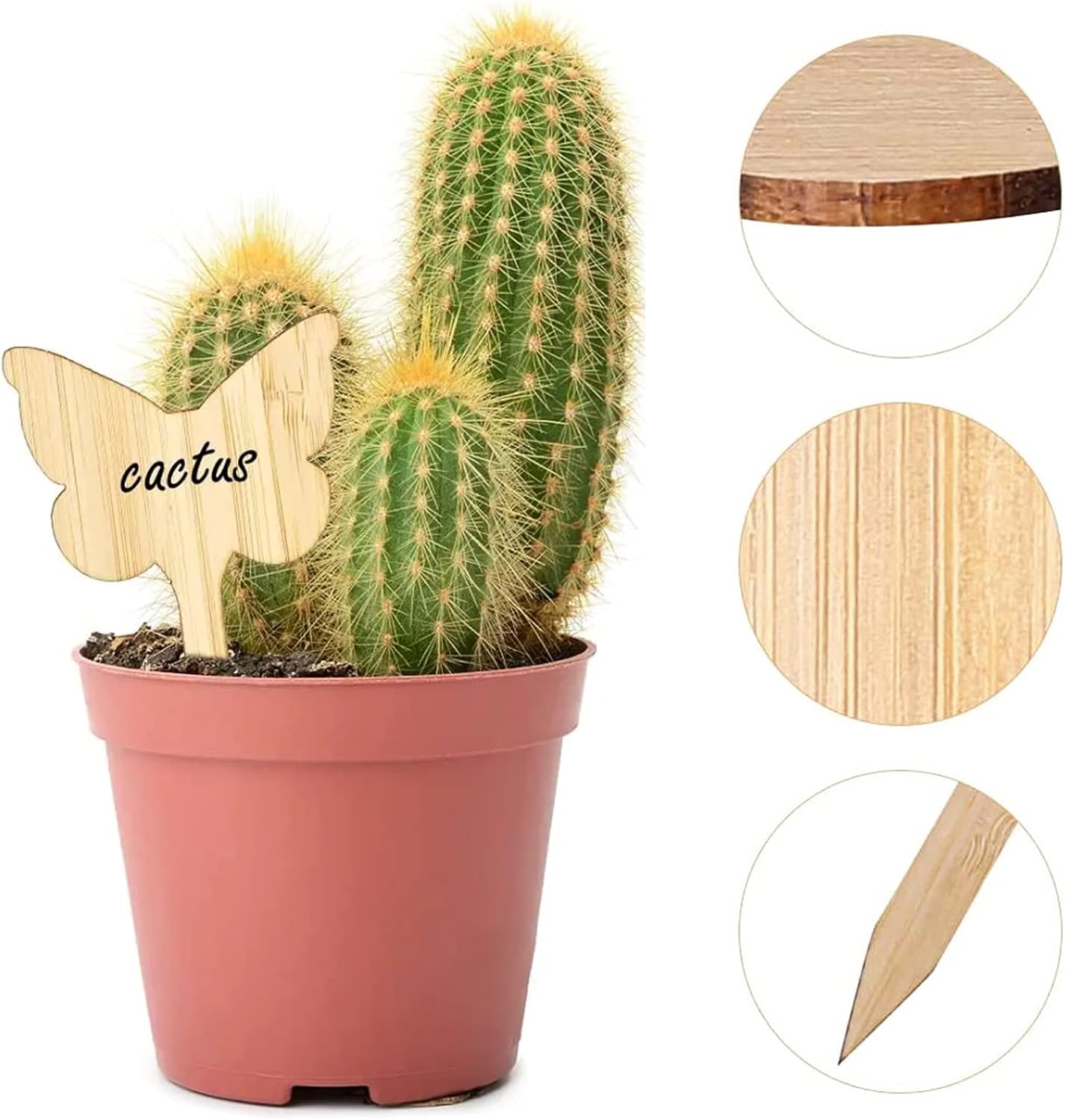 Reusable Wooden Plant Markers – Writable Labels for Garden & Balcony Herbs