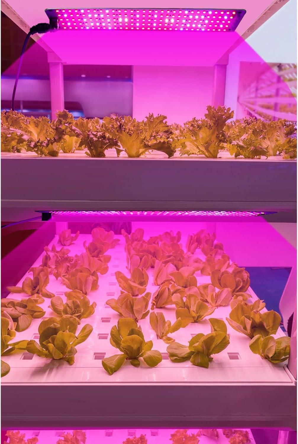 LED Plant Growth Light Panel – Adjustable Quantum Lighting for Enhanced Growth and Vibrant Colours