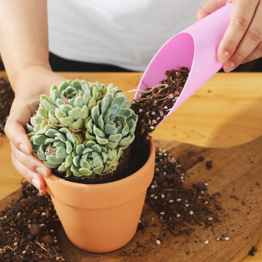 Plastic Garden Trowel – Essential Tool For Planting And Soil Fertilizing