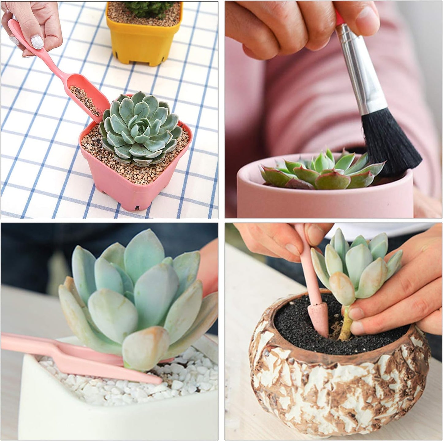 Succulent Planting Tool Kit - Complete Set for Care and Gardening