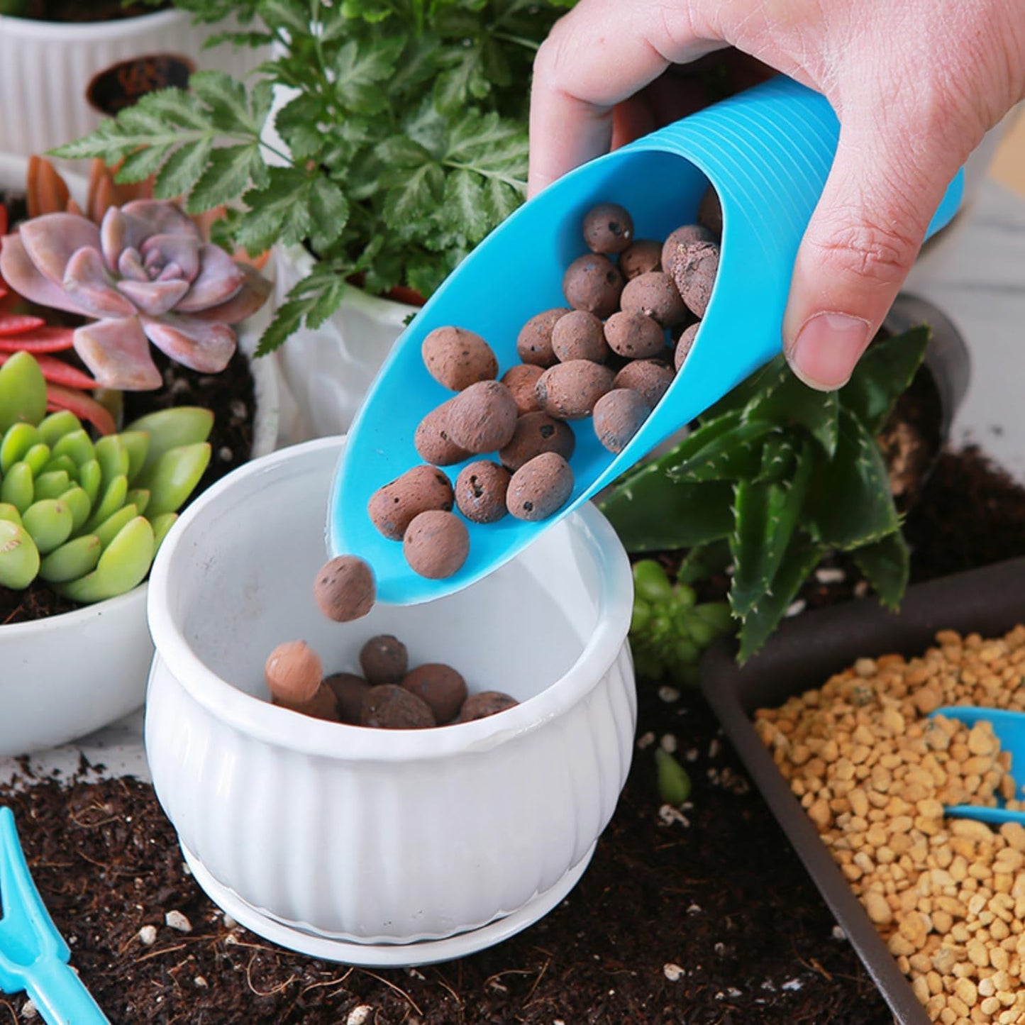 Plastic Garden Trowel – Essential Tool For Planting And Soil Fertilizing