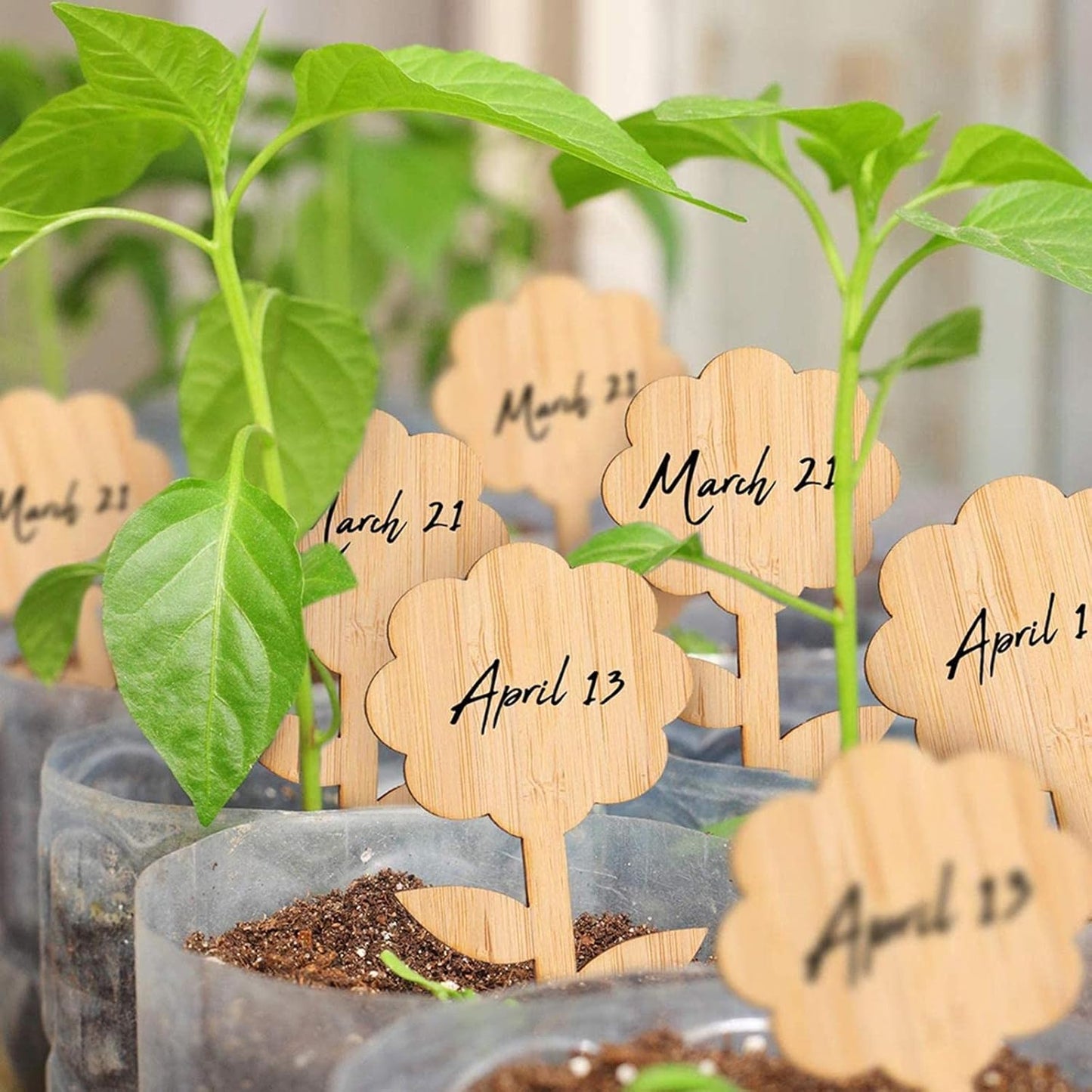 Reusable Wooden Plant Markers – Writable Labels for Garden & Balcony Herbs