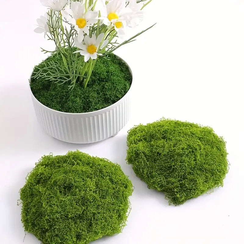 Moss Decoration Piece - Natural Moss Flake for Landscaping and Decorative Accents