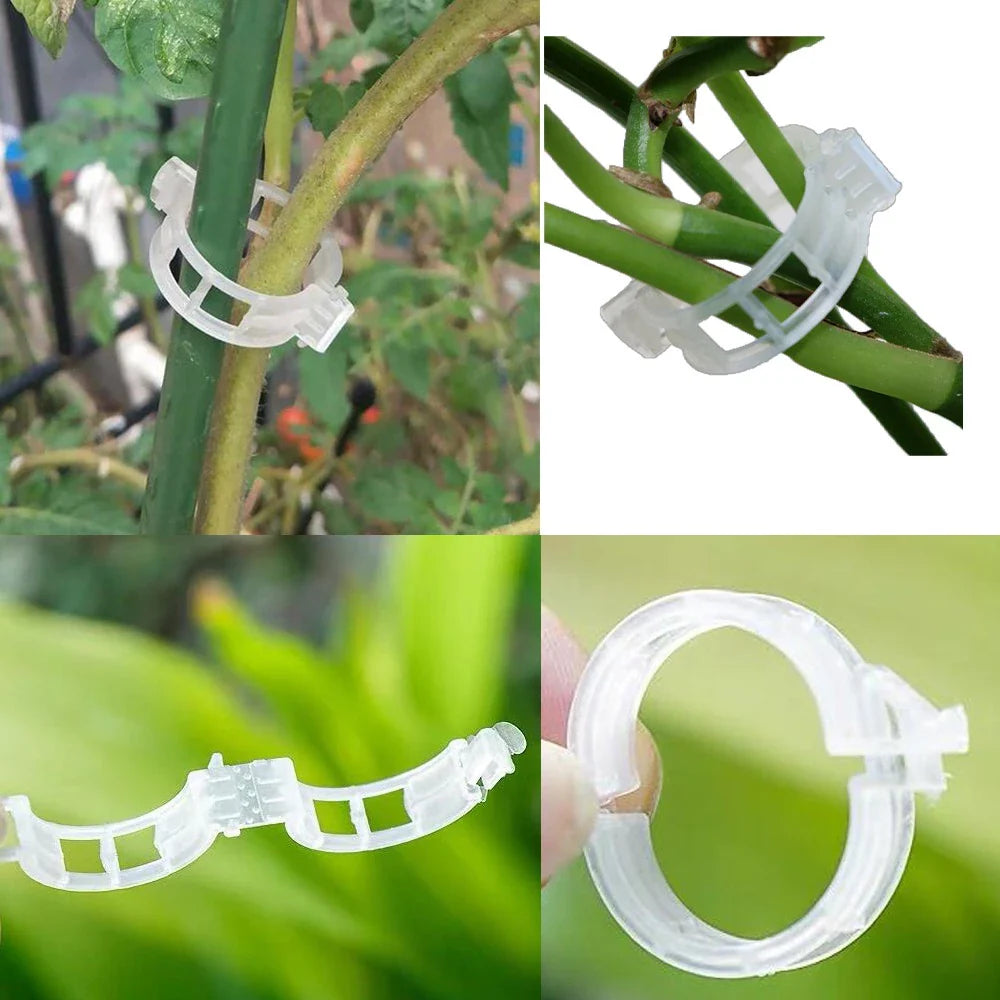 Flexible Plant Stem Support Clips – Adjustable Holders for Climbing Plants
