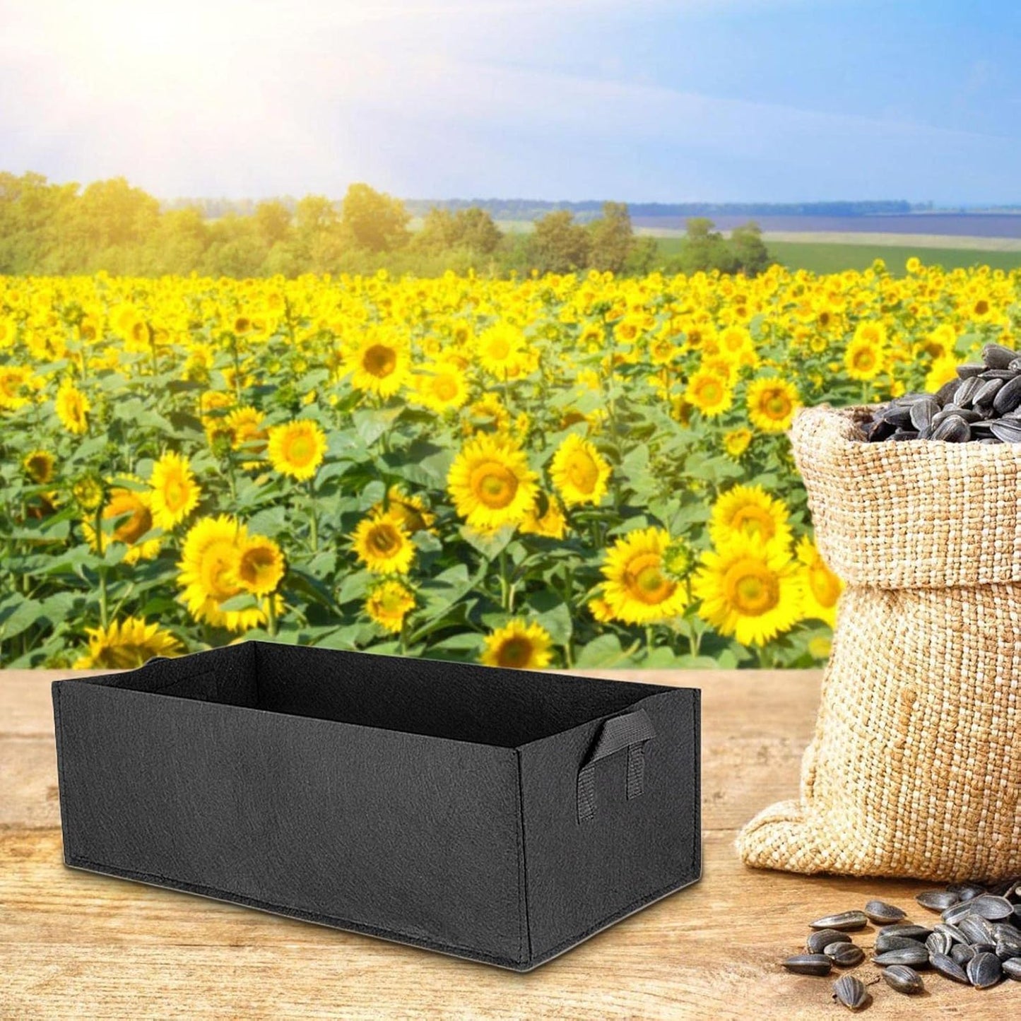 Collapsible Felt Plant Container with Carry Handles for Indoor and Outdoor Use